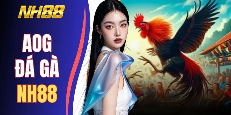 AOG Đá Gà NH88 - Khám Phá 5 Bước Làm Chủ Sảnh Cược Đỉnh