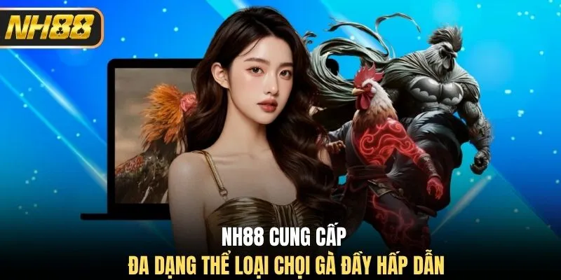 NH88 cung cấp đa dạng thể loại chọi gà đầy hấp dẫn